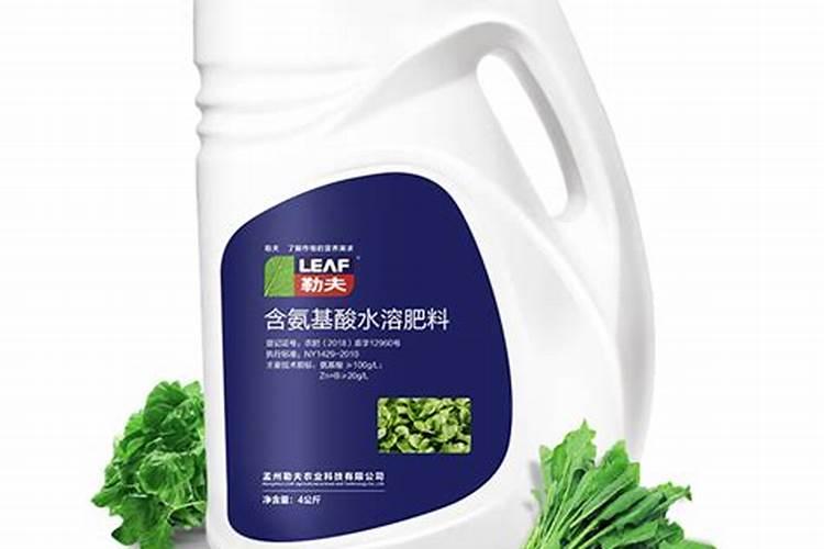 沙苑子原生植物