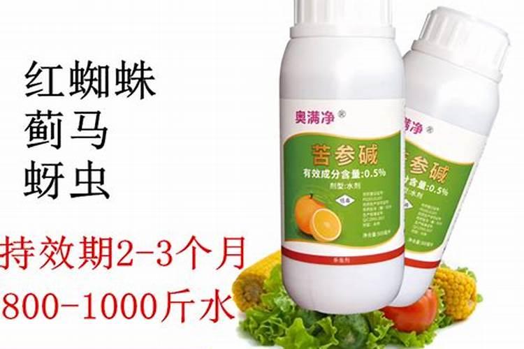 红蜘蛛危害后叶片后怎么恢复植物？