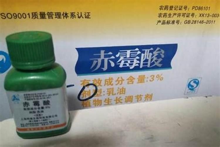荔枝幼果期赤霉素怎样使用？