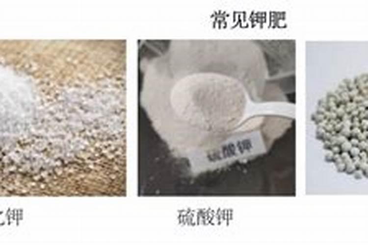 天然钾肥有哪些