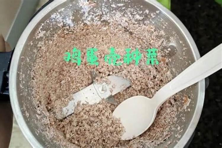 磷肥适合浇什么花