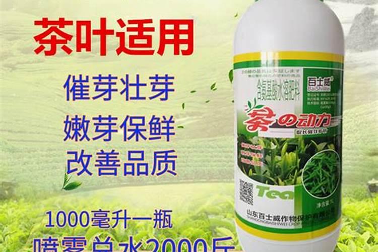 哪里有卖氨基酸肥料的公司