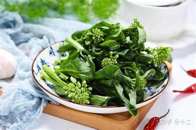 菜心的种植方法