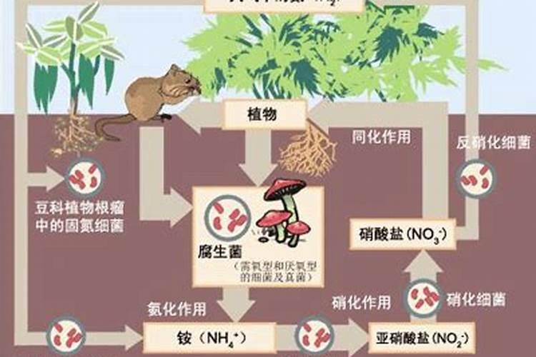 跪求一篇策划书的模板!啥子都行啊!