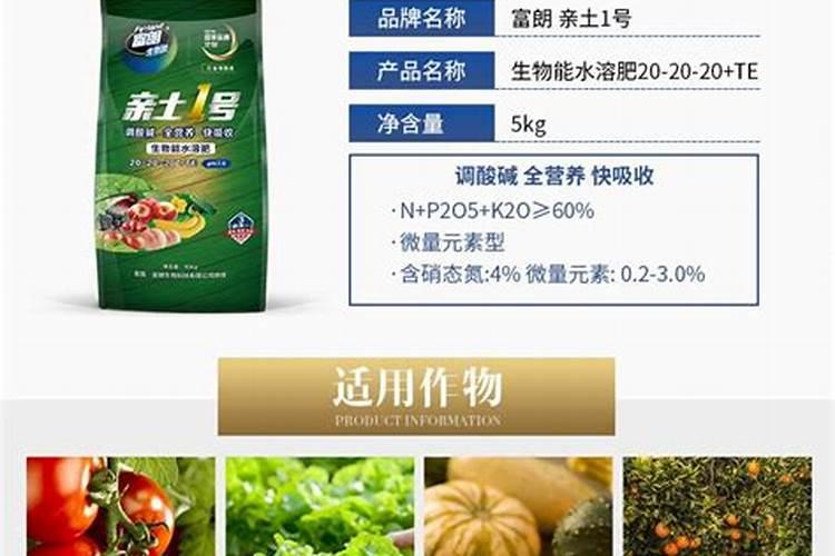 西班牙从中国进口什么