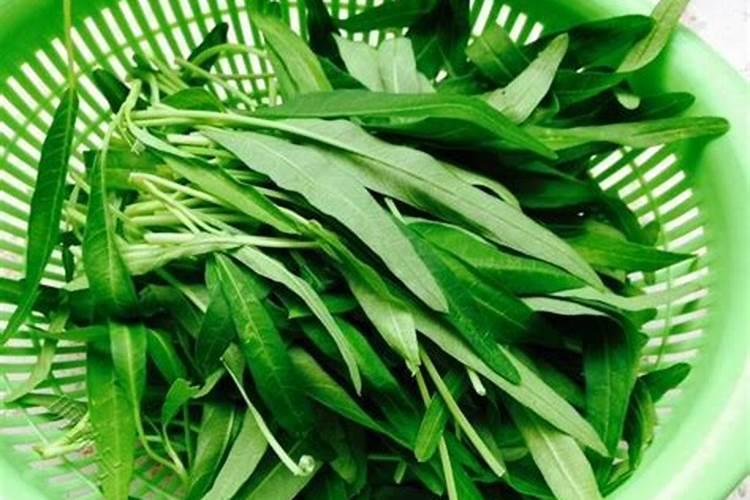 空心菜施什么肥料又脆又嫩