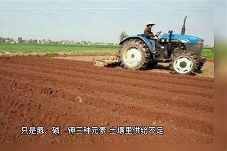氮肥的作用