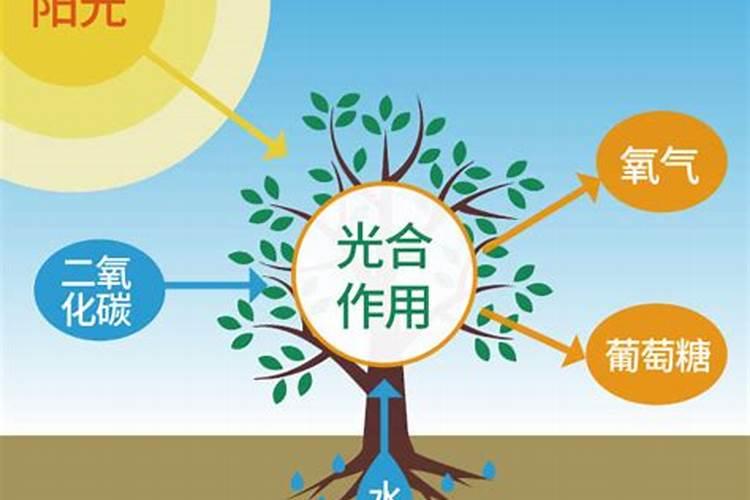 大豆追肥用什么肥料好？