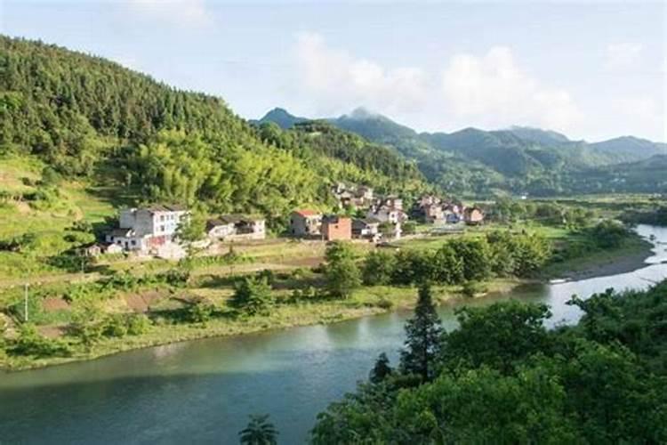 辽宁黑山特产:黑山锦丰梨