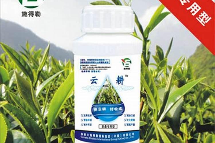 水溶肥什么牌子靠谱？