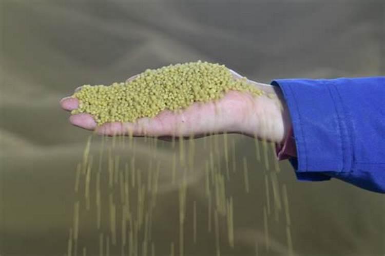 天脊硝酸磷钾肥80斤多少钱一袋？