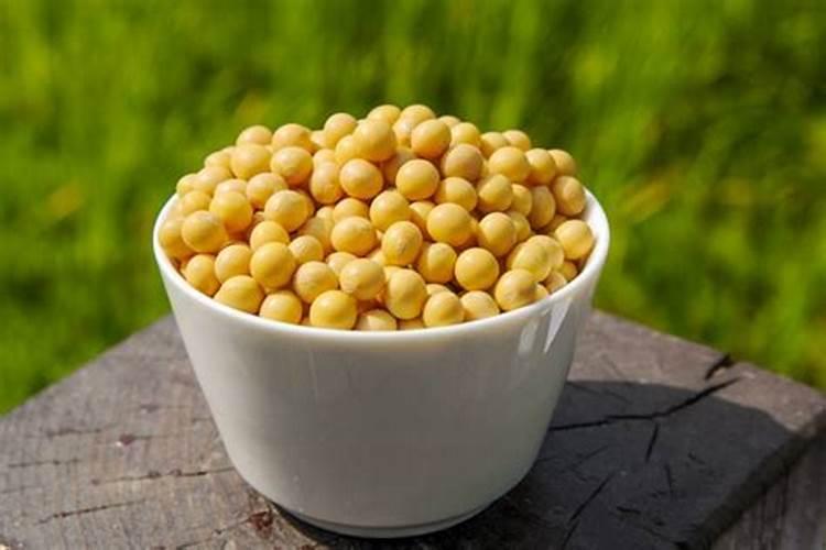 黄豆开花期需要施什么肥