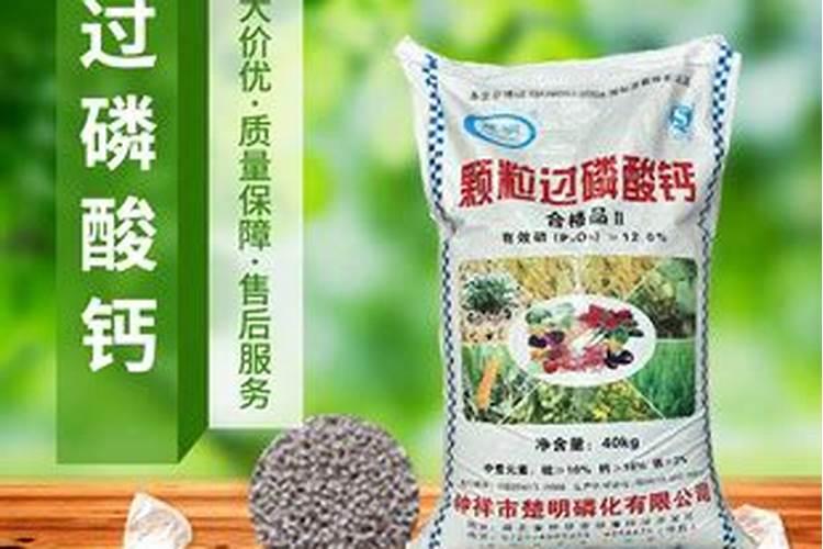 天脊16620硝酸钾水溶肥的批发价格是多少？