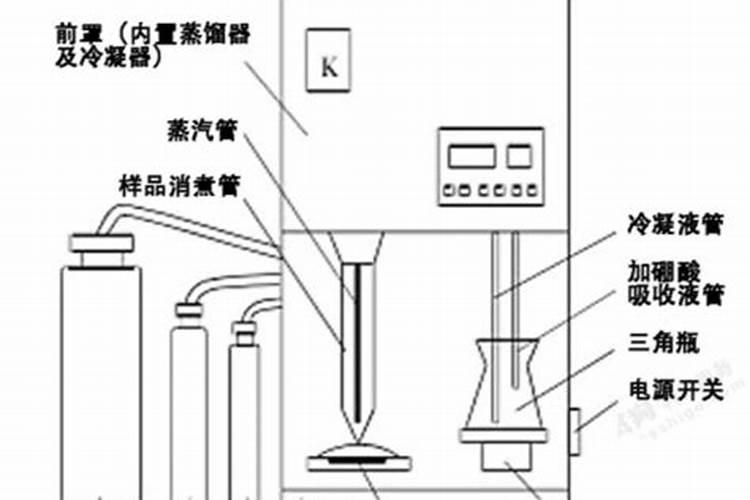 欧石竹什么时候移栽