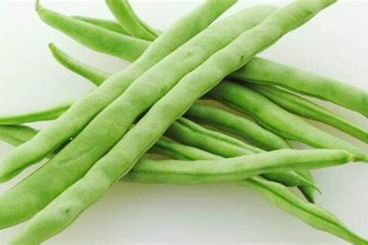 四季豆用什么肥料最好