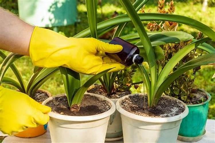 都说降温好钓鱼,到底是前一天还是后一天？千万别选错了!