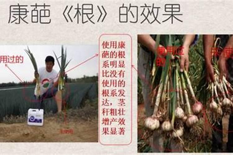 水溶肥怎么用效果好
