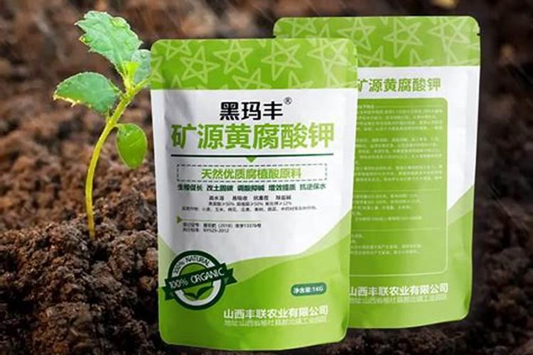 苹果用什么水溶肥好 主要是促进果树生长