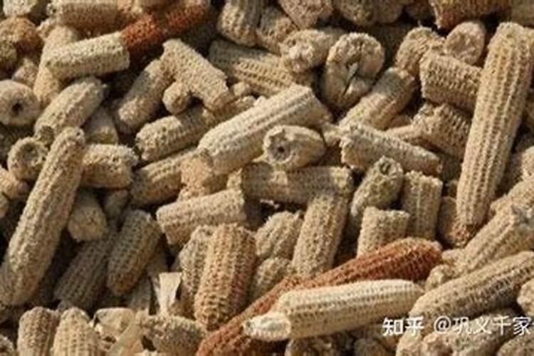 玉米芯除了药用价值还有什么用途？