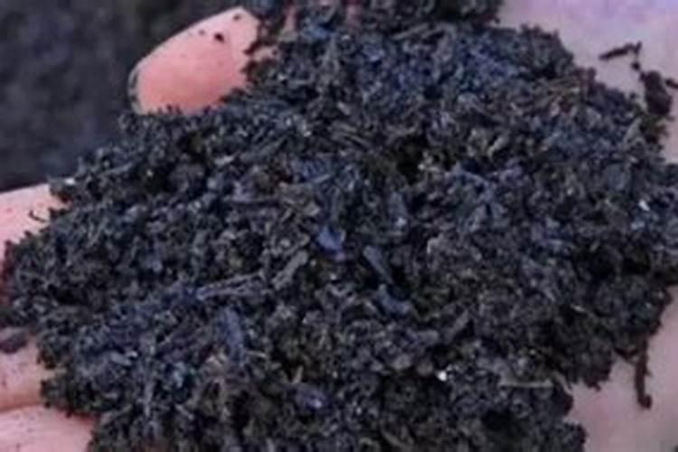 向土壤使入有机氮肥或化学氮肥后不应浇水过多它的原因是什么百度知 ...