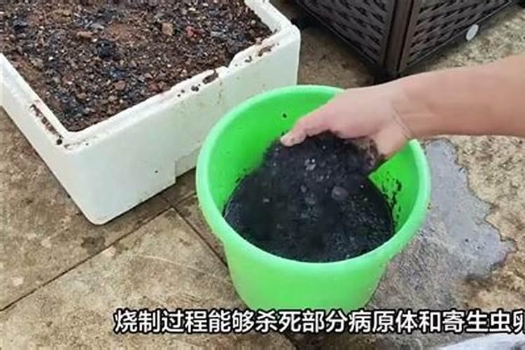 草木灰如何做肥料