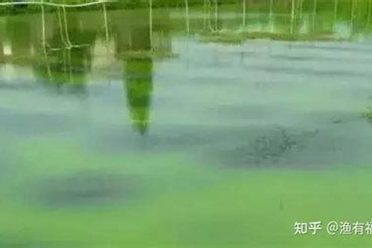 黄豆水属于磷肥还是氮肥
