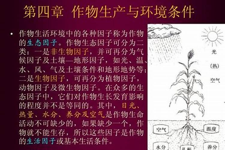 种植黄瓜可以用大量元素水溶肥吗？