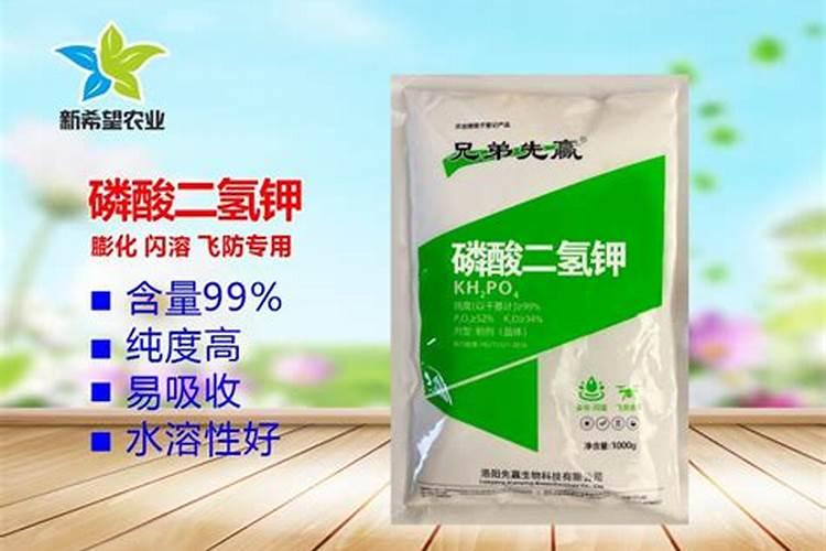 常见进口复合肥有什么？