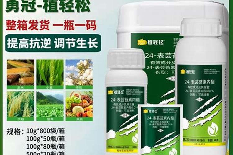 芸苔素内酯在小麦哪个阶段增产效果最好
