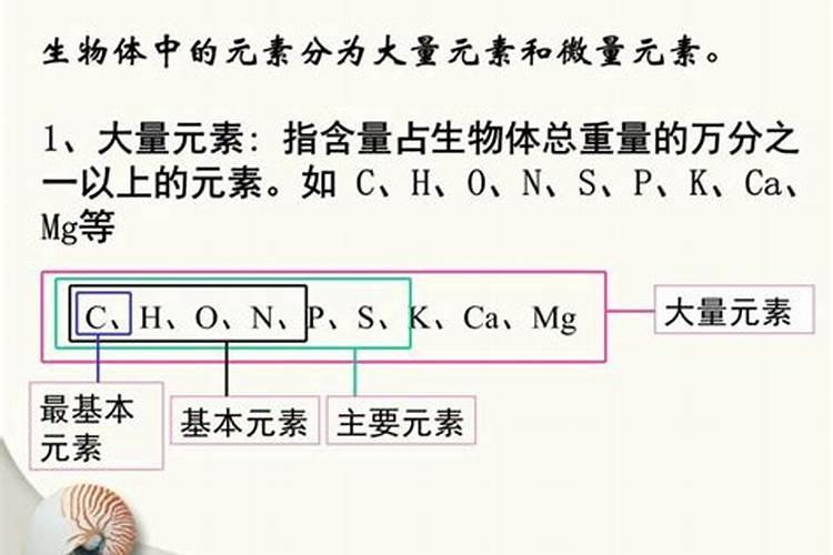 大、中、微量元素的区别