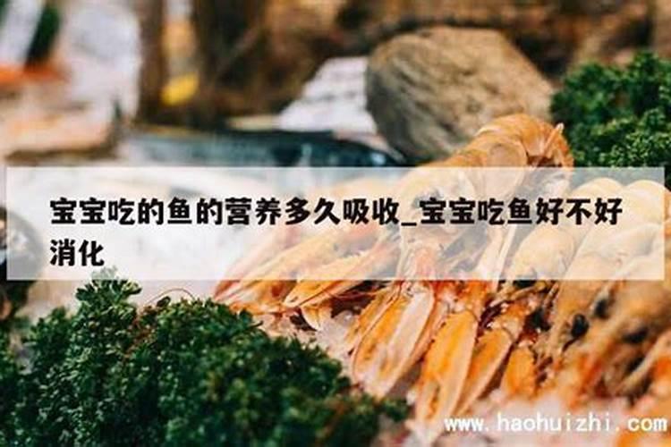 孔雀竹芋怎么施肥
