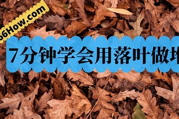 枯树叶怎样发酵成肥料？