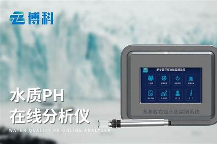 中量元素水溶肥是什么肥料