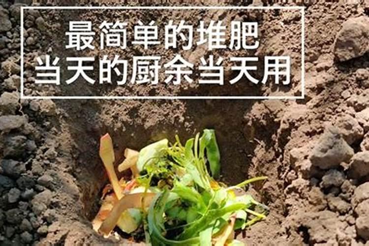 简易自制氮肥的方法是怎样的