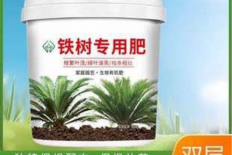 铁树用什么肥料比较好