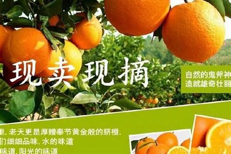 脐橙的施肥要合理,脐橙的施肥技术方法有哪些？