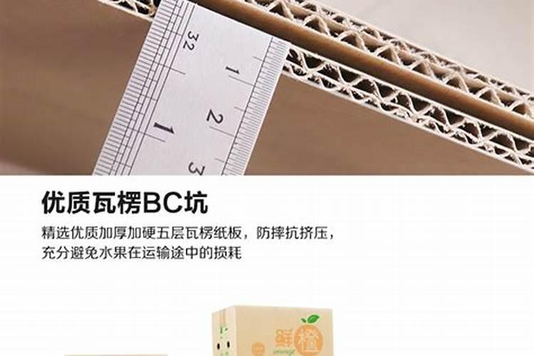 伦晚脐橙的肥水管理