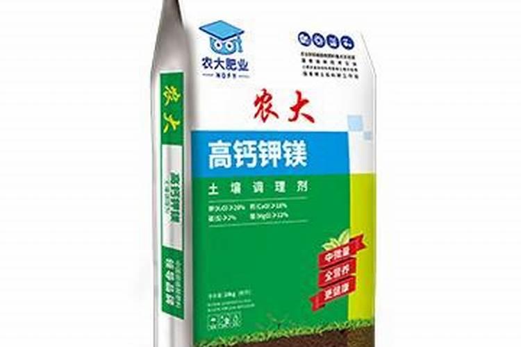 黄瓜结瓜期这些细节要注意!及时调整黄瓜长势