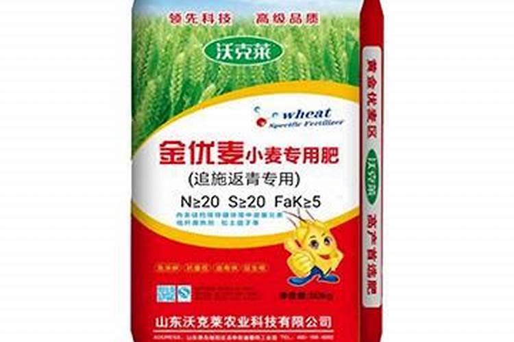 大岩桐怎么栽