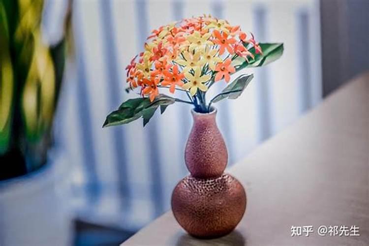 小白菜栽培要喷什么叶面肥品质才好