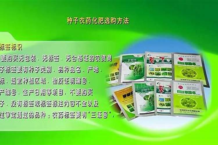 用什么肥可以丰根？