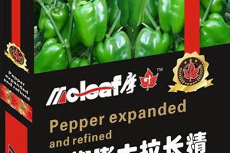 变天了!28万余吨小麦投放市场,年后小麦市场“生变”？咋变？