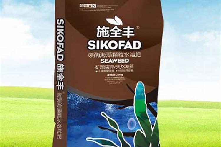 有没有成枝力强的短枝苹果品种？