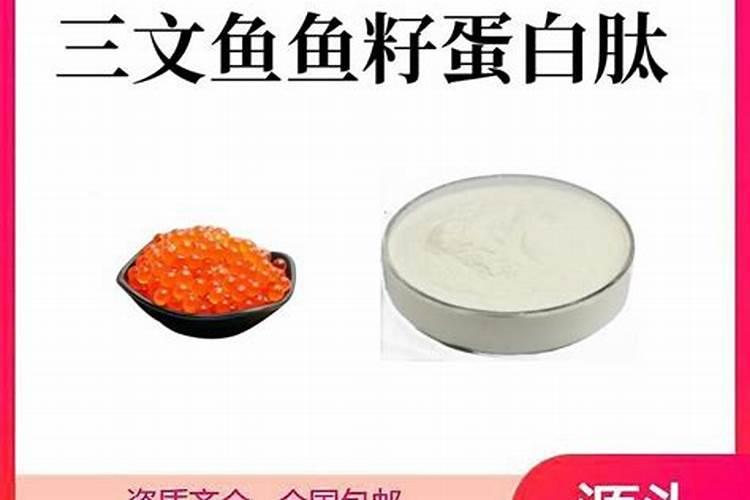 鱼蛋白肥料厂家前十名