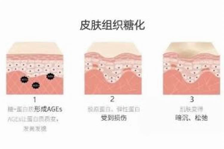 糖化硼能用在有机蔬菜上吗？