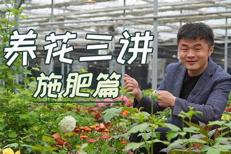 袋装大量元素水溶肥棉花叶面喷施用量