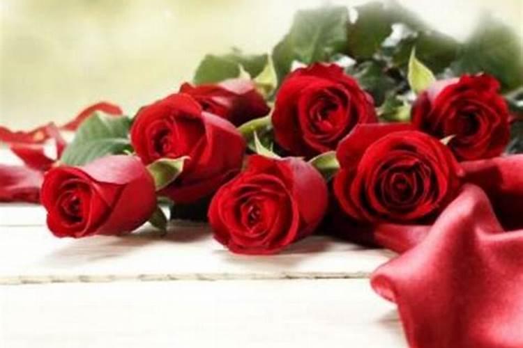 玫瑰花怎么施肥,玫瑰花施氮磷钾肥最为合适