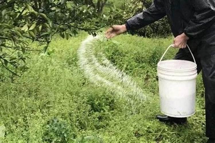 氮肥好还是氮磷钾复合肥好