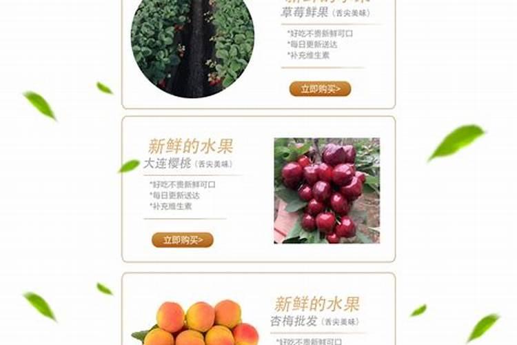 欢能肥厂家是正规厂吗