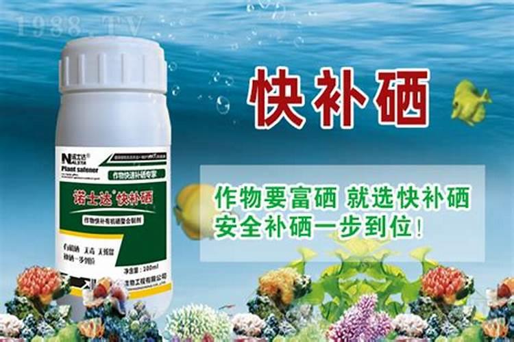 育肥羊喂什么添加剂最好